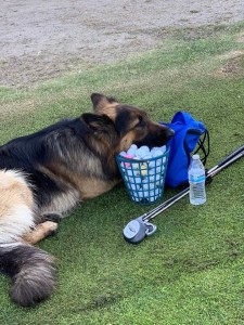 Major with bucket and clubs